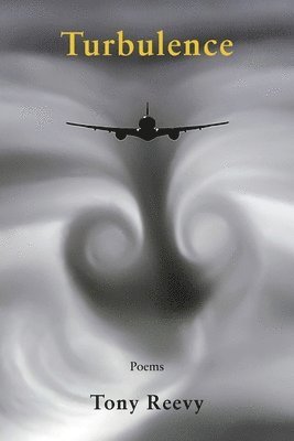 bokomslag Turbulence