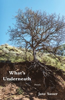 Jane Sasser - What's Underneath, Häftad