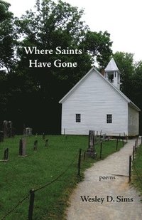 bokomslag Where Saints Have Gone