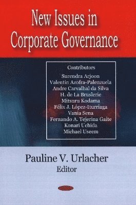 bokomslag New Issues in Corporate Governance