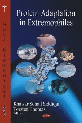 bokomslag Protein Adaptation in Extremophiles