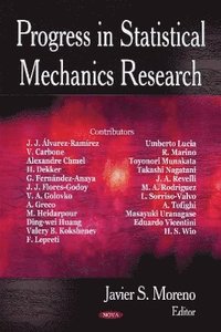 bokomslag Progress in Statistical Mechanics Research