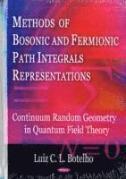 bokomslag Methods of Bosonic & Fermionic Path Integrals Representations