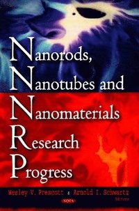 bokomslag Nanorods, Nanotubes & Nanomaterials Research Progress