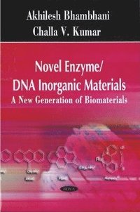 bokomslag Novel Enzyme / DNA Inorganic Materials