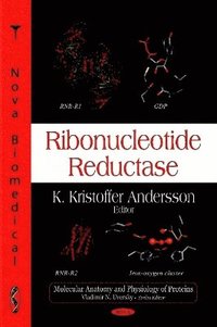 bokomslag Ribonucleotide Reductase