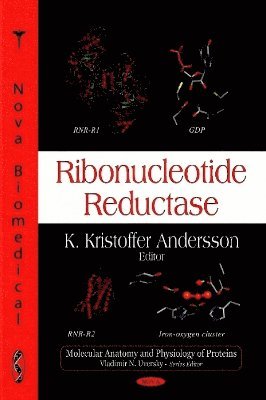 bokomslag Ribonucleotide Reductase