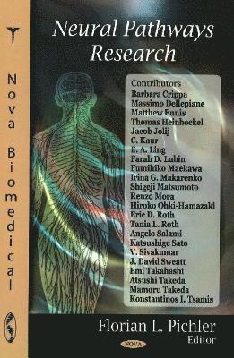 bokomslag Neural Pathways Research