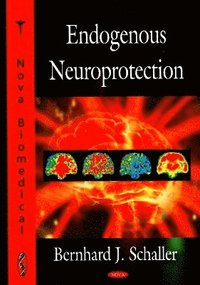 bokomslag Endogenous Neuroprotection