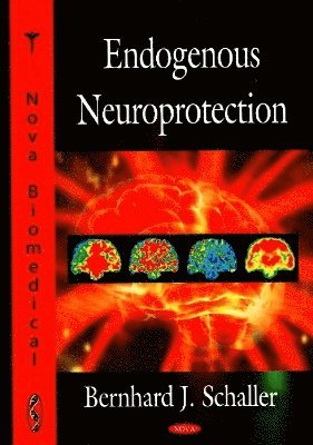 bokomslag Endogenous Neuroprotection
