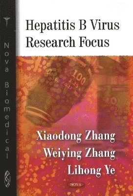 bokomslag Hepatitis B Virus Research Focus