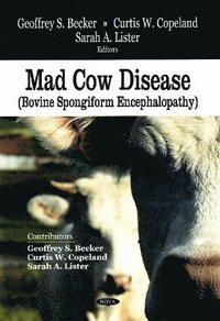 bokomslag Mad Cow Disease