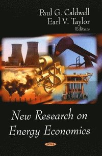 bokomslag New Research on Energy Economics