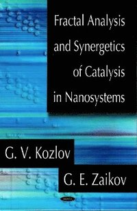 bokomslag Fractal Analysis & Synergetics of Catalysis in Nanosystems