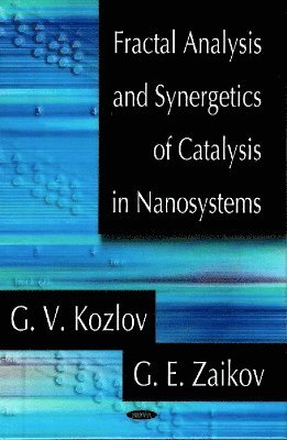 bokomslag Fractal Analysis & Synergetics of Catalysis in Nanosystems