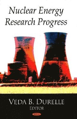 bokomslag Nuclear Energy Research Progress