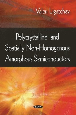 bokomslag Polycrystalline & Spatially Non-Homogenous Amorphous Semiconductors