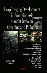 bokomslag Leapfrogging Development in Emerging Asia