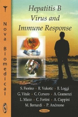 bokomslag Hepatitis B Virus & Immune Reponse