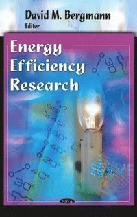 bokomslag Energy Efficiency Research