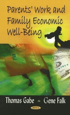bokomslag Parents' Work & Family Economic Well-Being