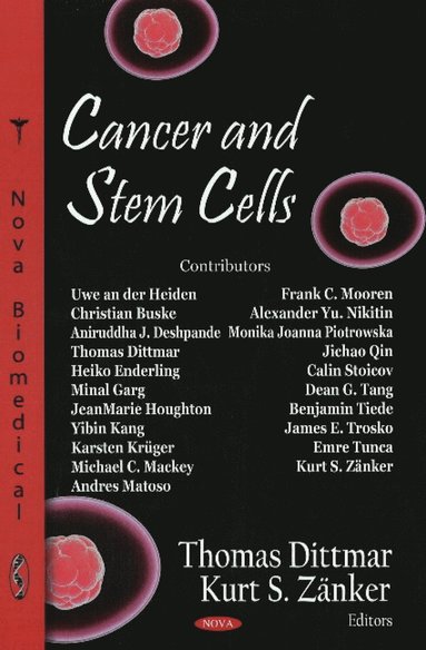 bokomslag Cancer & Stem Cells