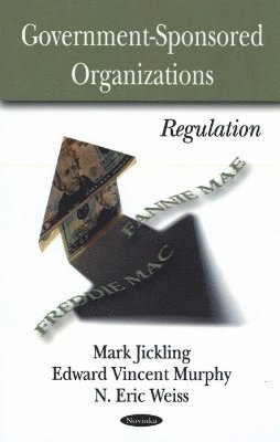 bokomslag Government Sponsored Organizations