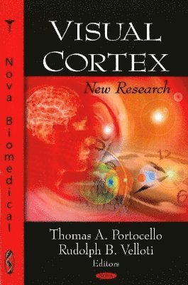 Visual Cortex 1