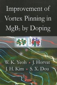 bokomslag Improvement of Vortex Pinning in MgB2 by Doping
