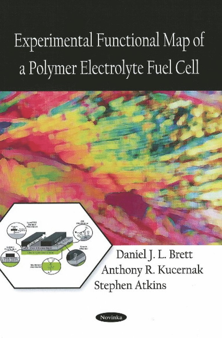 Daniel J L Brett, Anthony R Kucernak, Stephen Atkins - Experimental Functional Map of a Polymer Electrolyte Fuel Cell, Häftad