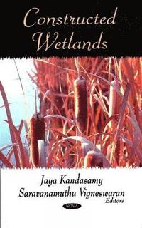 bokomslag Constructed Wetlands