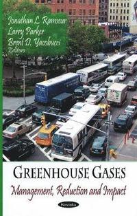 bokomslag Greenhouse Gases