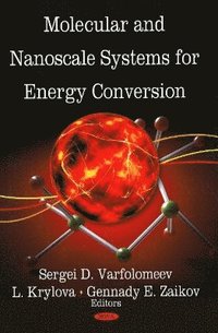 bokomslag Molecular & Nanoscale Systems for Energy Conversion