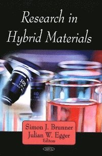 bokomslag Research in Hybrid Materials