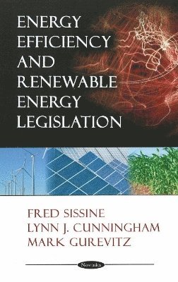 bokomslag Energy Efficiency & Renewable Energy Legislation