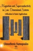 bokomslag Magnetism & Superconductivity in Low-Dimensional Systems