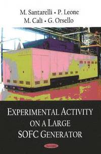 bokomslag Experimental Activity on a Large SOFC Generator