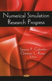 bokomslag Numerical Simulation Research Progress