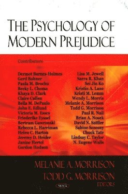 bokomslag Psychology of Modern Prejudice