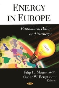 bokomslag Energy in Europe
