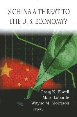 bokomslag Is China a Threat to the U.S. Economy?