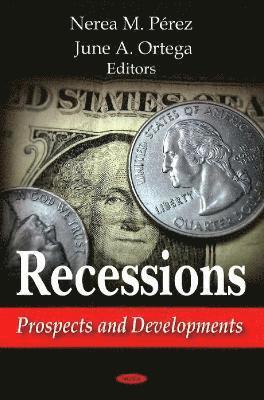 bokomslag Recessions
