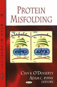 bokomslag Protein Misfolding
