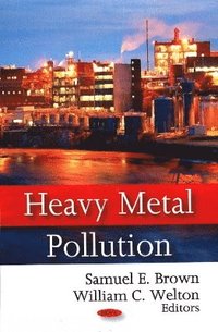 bokomslag Heavy Metal Pollution