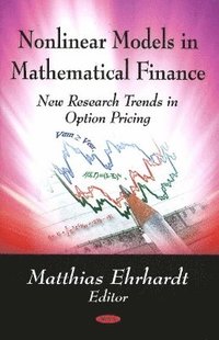 bokomslag Nonlinear Models in Mathematical Finance