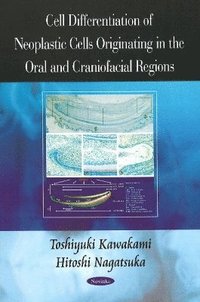 bokomslag Cell Differentiation of Neoplastic Cells Originating in the Oral & Craniofacial Regions