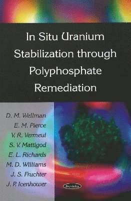 bokomslag In Situ Uranium Stabilization Through Polyphosphate Remediation