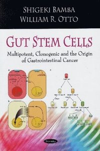 bokomslag Gut Stem Cells