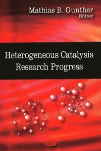bokomslag Heterogeneous Catalysis Research Progress