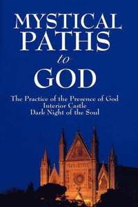 bokomslag Mystical Paths to God